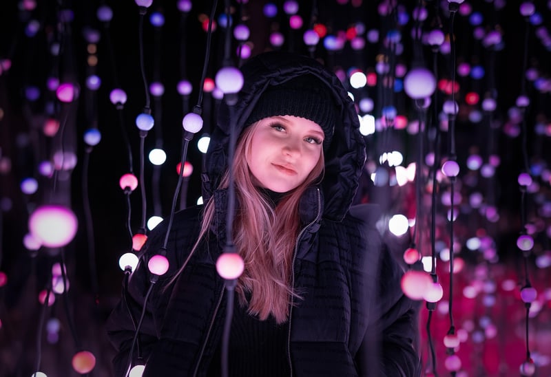 Enchanted Fairy Lights